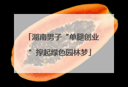 湖南男子“单腿创业”撑起绿色园林梦