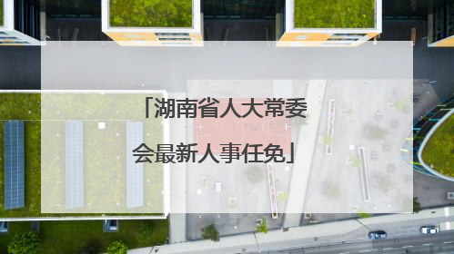 湖南省人大常委会最新人事任免
