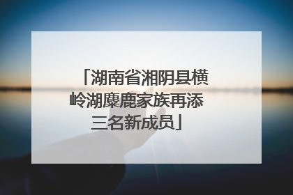 湖南省湘阴县横岭湖麋鹿家族再添三名新成员