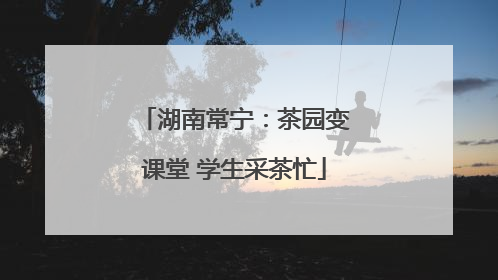 湖南常宁：茶园变课堂 学生采茶忙