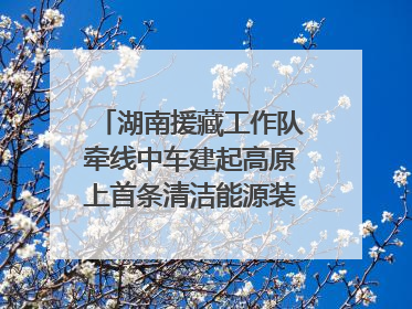 湖南援藏工作队牵线中车建起高原上首条清洁能源装配产线，本地大学生成车间检验员