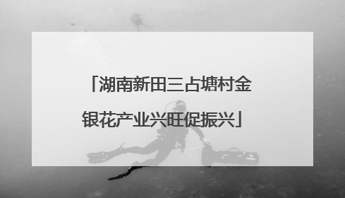 湖南新田三占塘村金银花产业兴旺促振兴