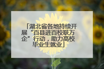 湖北省各地持续开展“百县进百校联万企”行动，助力高校毕业生就业