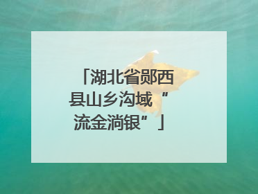 湖北省郧西县山乡沟域“流金淌银”