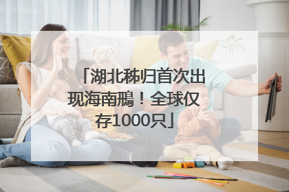 湖北秭归首次出现海南鳽！全球仅存1000只