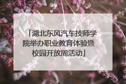 湖北东风汽车技师学院举办职业教育体验暨校园开放周活动