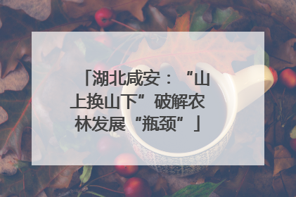 湖北咸安：“山上换山下”破解农林发展“瓶颈”