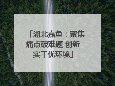 湖北嘉鱼：聚焦痛点破难题 创新实干优环境