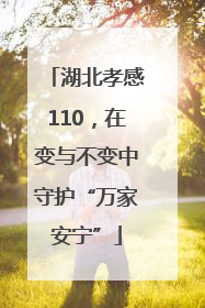 湖北孝感110，在变与不变中守护“万家安宁”