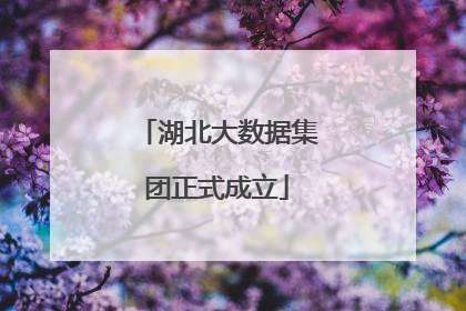 湖北大数据集团正式成立