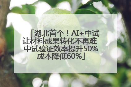 湖北首个！AI+中试让材料成果转化不再难 中试验证效率提升50%成本降低60%