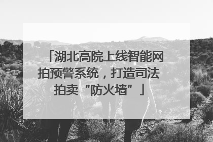 湖北高院上线智能网拍预警系统，打造司法拍卖“防火墙”