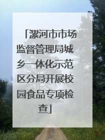 漯河市市场监督管理局城乡一体化示范区分局开展校园食品专项检查