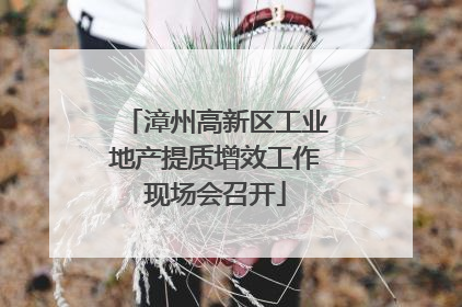 漳州高新区工业地产提质增效工作现场会召开