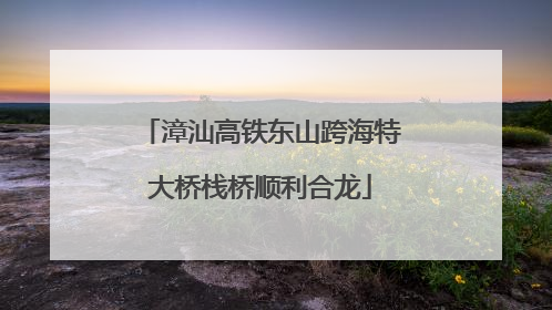 漳汕高铁东山跨海特大桥栈桥顺利合龙