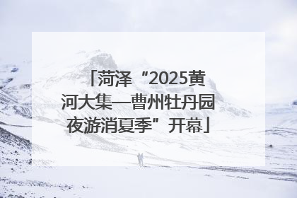 菏泽“2025黄河大集—曹州牡丹园夜游消夏季”开幕