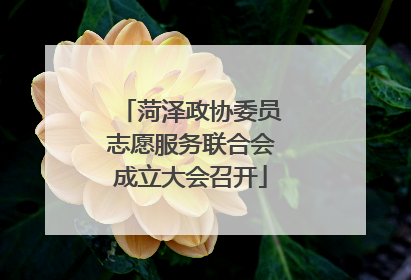 菏泽政协委员志愿服务联合会成立大会召开