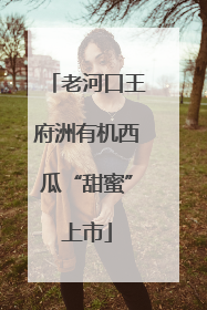老河口王府洲有机西瓜“甜蜜”上市