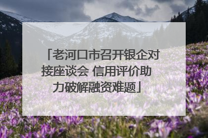 老河口市召开银企对接座谈会 信用评价助力破解融资难题