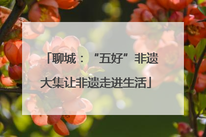 聊城：“五好”非遗大集让非遗走进生活