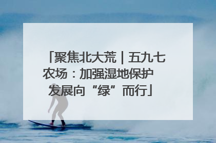 聚焦北大荒｜五九七农场：加强湿地保护 发展向“绿”而行