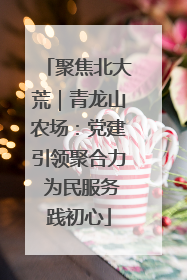 聚焦北大荒｜青龙山农场：党建引领聚合力 为民服务践初心