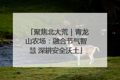聚焦北大荒｜青龙山农场：融合节气智慧 深耕安全沃土