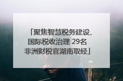 聚焦智慧税务建设、国际税收治理 29名非洲财税官湖南取经