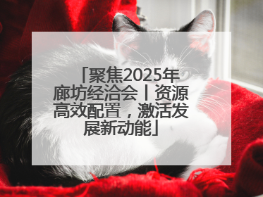 聚焦2025年廊坊经洽会丨资源高效配置，激活发展新动能