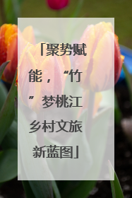 聚势赋能，“竹”梦桃江乡村文旅新蓝图