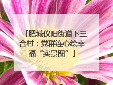 肥城仪阳街道下三合村：党群连心绘幸福“实景图”