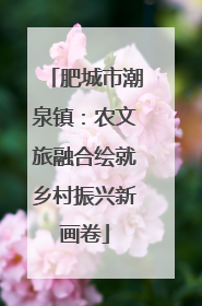 肥城市潮泉镇：农文旅融合绘就乡村振兴新画卷