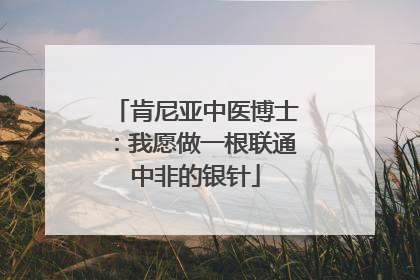 肯尼亚中医博士：我愿做一根联通中非的银针