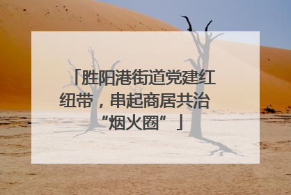 胜阳港街道党建红纽带，串起商居共治 “烟火圈”
