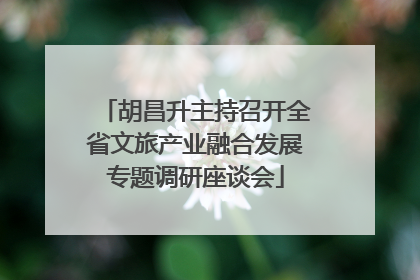 胡昌升主持召开全省文旅产业融合发展专题调研座谈会