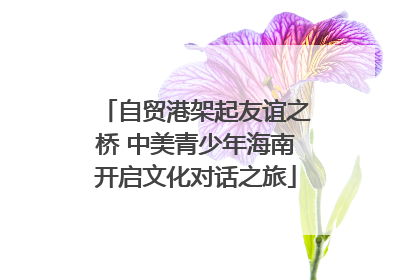 自贸港架起友谊之桥 中美青少年海南开启文化对话之旅