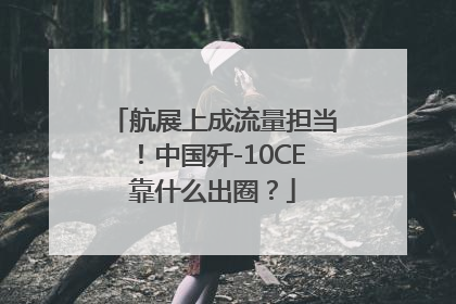 航展上成流量担当！中国歼-10CE靠什么出圈？
