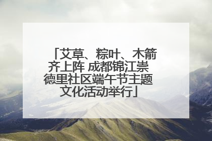 艾草、粽叶、木箭齐上阵 成都锦江崇德里社区端午节主题文化活动举行