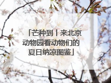 芒种到丨来北京动物园看动物们的夏日纳凉图鉴