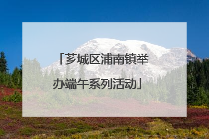 芗城区浦南镇举办端午系列活动