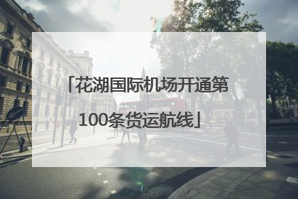 花湖国际机场开通第100条货运航线