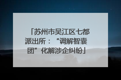 苏州市吴江区七都派出所：“调解智囊团”化解涉企纠纷