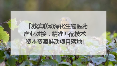苏滨联动深化生物医药产业对接，精准匹配技术资本资源推动项目落地