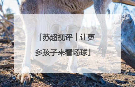 苏超视评︱让更多孩子来看场球