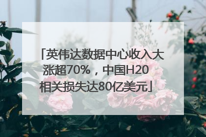 英伟达数据中心收入大涨超70%，中国H20相关损失达80亿美元