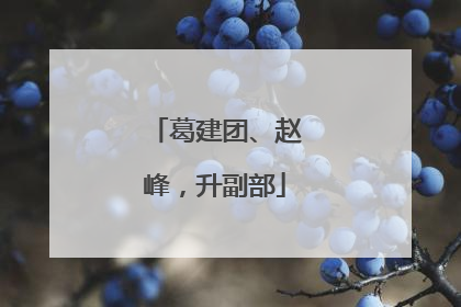 葛建团、赵峰，升副部