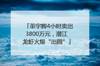 董宇辉4小时卖出3800万元，潜江龙虾火爆“出圈”