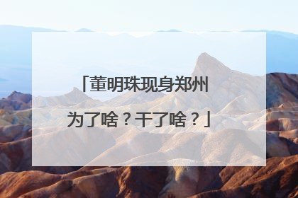 董明珠现身郑州 为了啥？干了啥？