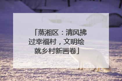 蒸湘区：清风拂过幸福村，文明绘就乡村新画卷