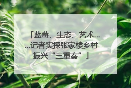 蓝莓、生态、艺术……记者实探张家楼乡村振兴“三重奏”